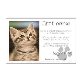 happy birthday card cat white animals 