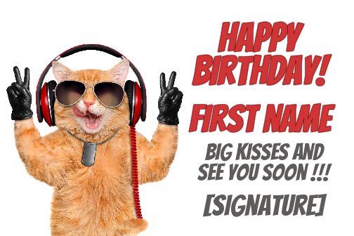 Funny Cat Animals virtual free