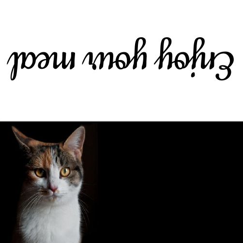 Label Place Card Table Cat template
