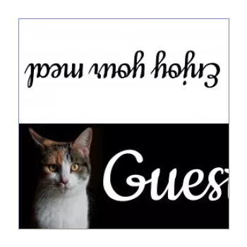 label place card table cat black 