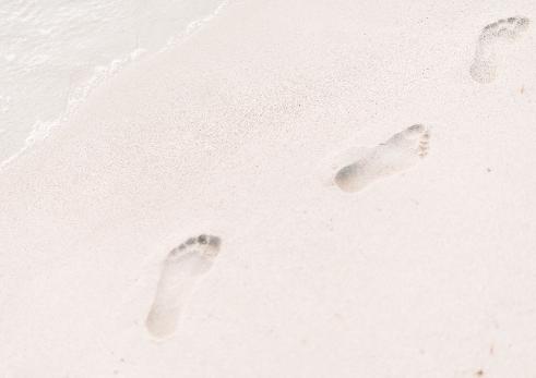 Verso Wedding Menu Beach template