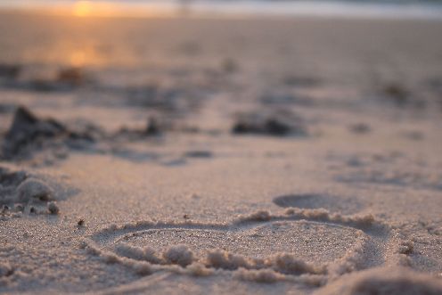 Announcement Pacs Beach virtual free
