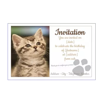 birthday card invitation cat white animals 