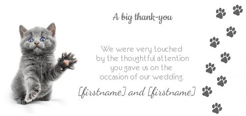 Wedding Thanks Cat Thank You virtual