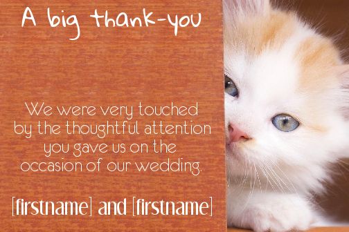 Wedding Thanks Cat Thank You template