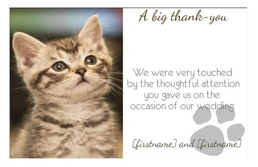 Wedding Thanks Cat Thank You template