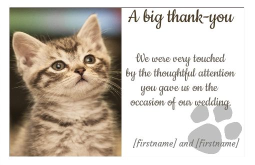 Wedding Thanks Cat Thank You virtual free