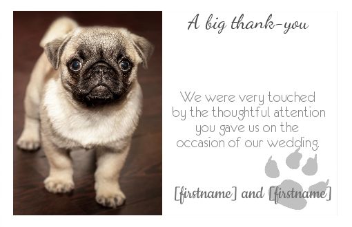 Wedding Thanks Dog Thank You virtual
