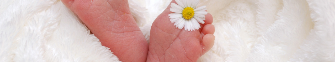 Congratulation on Baby cards templates